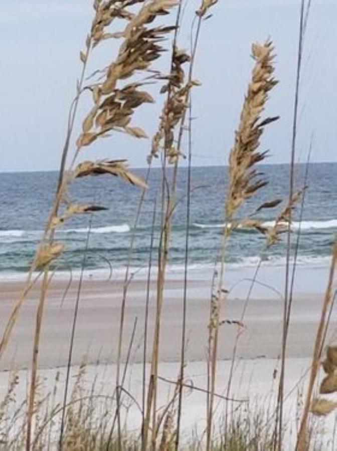 Island Life Aparthotel St. Augustine Beach Kültér fotó